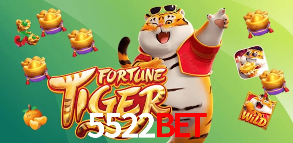 Experiência VIP 5522Bet